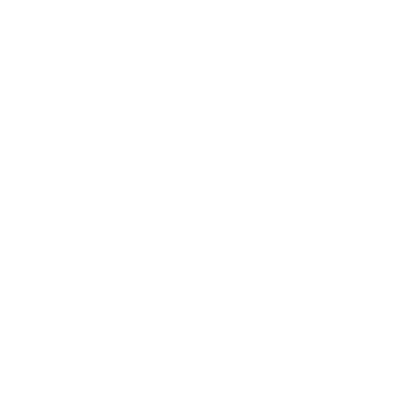 Inclusion Refugees Network